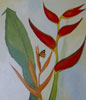 Heliconia1_acrylic on canvas_40 x 60 cm